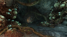 ꡼ No.007Υͥ / Dragon's Dogma Onlineס630Υ2åץǡ³Ȥʤ뿷ꥢ俷󥹥ξܺ٤