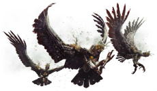 ꡼ No.010Υͥ / Dragon's Dogma Onlineס630Υ2åץǡ³Ȥʤ뿷ꥢ俷󥹥ξܺ٤