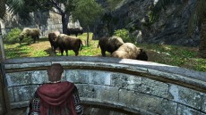 ꡼ No.019Υͥ / ԤȰˤĤ֤Dragon's Dogma Onlineץޥ롼ൡǽֳмԤμפ򥷡2åץǡȤǼ