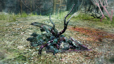 ꡼ No.019 | Dragon's Dogma Onlineץ2åץǡ³󡣡ﵻηѾפˤäƳǤ뿷俯Ȥ襤󥸥ξ󤬸