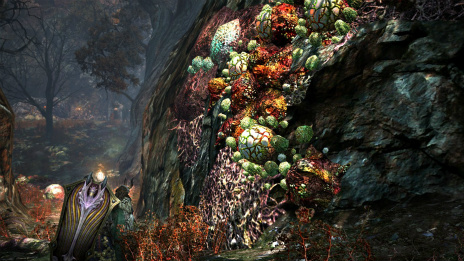 ꡼ No.024 | Dragons Dogma Onlineפ緿åץǡȡ֥2.2פ1215˼»ܡΦ֥եפ俷֥֡ԥåȥ󥵡פξ󤬸