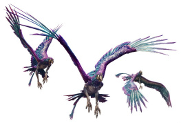 ꡼ No.025 | Dragons Dogma Onlineפ緿åץǡȡ֥2.2פ1215˼»ܡΦ֥եפ俷֥֡ԥåȥ󥵡פξ󤬸