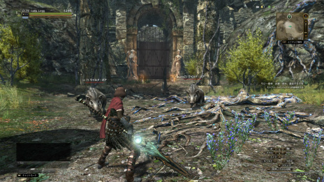 ꡼ No.005 | Dragons Dogma Onlineסȥ2.2³󡣿֥֡ԥåȥ󥵡פξܺ٤ƥ֤ɲǡξ󤬸