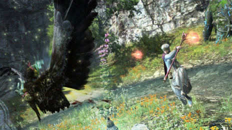 ꡼ No.016 | Dragons Dogma Onlineסȥ2.2³󡣿֥֡ԥåȥ󥵡פξܺ٤ƥ֤ɲǡξ󤬸