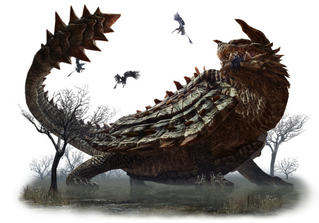 ꡼ No.002 | Dragons Dogma Onlineסȥ2.2ɤΥեǶΥӥ奢롤ƥեΦε֥饹פ