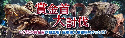 ���������꡼ No.005�Υ���ͥ������ / ��DDON�ס���������2.3�Ƕ����饹�������Ǻ������Ǥ��륨�����ȥ꡼��ߥå�����о�