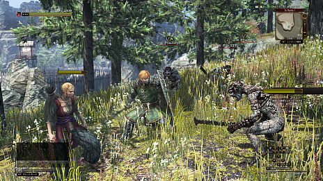 ꡼ No.004Υͥ / Dragon's Dogma Onlineס˾ο˴αפοݡȸ餤ޥɥ饴ơȤκƶܻؤ