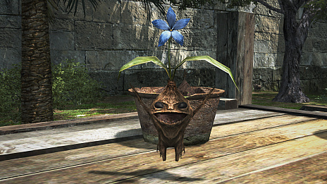 ꡼ No.010Υͥ / Dragon's Dogma Onlineס˾ο˴αפοݡȸ餤ޥɥ饴ơȤκƶܻؤ