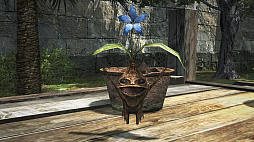 ꡼ No.008Υͥ / ֥ɥ饴󥺥ɥ 饤ס緿åץǡȡ֥3 ˴αɡפϢưץDragon's Dogma Online Ģפۿ