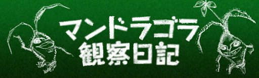 ꡼ No.030Υͥ / ֥ɥ饴󥺥ɥ 饤ס緿åץǡȡ֥3 ˴αɡפϢưץDragon's Dogma Online Ģפۿ
