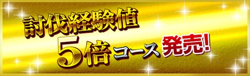 ���������꡼ No.005�Υ���ͥ������ / ��DDON�ס��������ȥ꡼��ߥå�������˾�Ȼ����ˤ�� �³���פ��ۿ�����