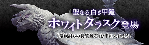 ���������꡼ No.015�Υ���ͥ������ / ��Dragon��s Dogma Online�ס���������٥�80�ˤʤ�륭���ڡ��󤬥�������