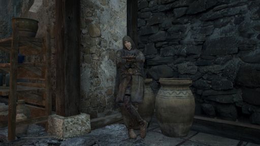 ���������꡼ No.012�Υ���ͥ������ / ��Dragon��s Dogma Online�ץ�������3.2�Ρ֥��ꥢ�ߥå����ס֥��֥��ȡ��꡼�פξܺ٤�������