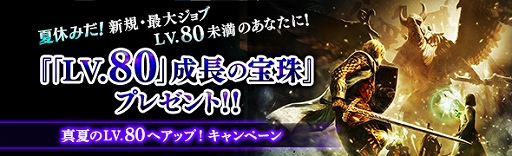 ���������꡼ No.008�Υ���ͥ������ / ��DDON�ס��֥���ڥꥢ�� �����ץ������2�ơ�������Lv80�ˤʤ륭���ڡ���Ⳬ����