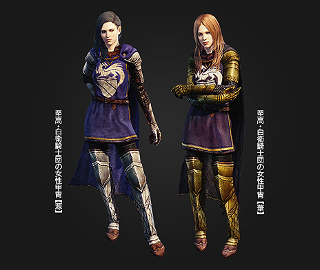 ꡼ No.007Υͥ / Dragons Dogma OnlineפΥ3.3åץǡȤ»ܡַи͡ɡꥸ奨꡼ץץ쥼Ȥʤɤεǰ