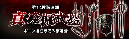 ���������꡼ No.010�Υ���ͥ������ / ��DDON�ס��������ߥå������ɤꤷ��˾�α�׳��š���������3.3�Ƕ����饹���������о�