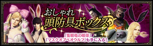 ���������꡼ No.002�Υ���ͥ������ / ��DDON�ץ������ȥ꡼��ߥå����֡ڸ³���������˲������ϡפ��ۿ�������