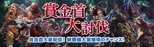 画像ギャラリー No.005のサムネイル画像 / 「DDON」,「竜彫りの秘装具II」や「極ジュエリー」が手に入る「白竜祭〜奉納〜」が開催