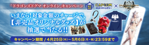 ���������꡼ No.013�Υ���ͥ������ / ��Dragon��s Dogma Online�פΥ����쥤���å����˿侩LV100�ﶷ���羭ʳ���פ��о�