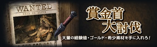 ���������꡼ No.001�Υ���ͥ������ / ��DDON�סȥ٥إ�åȡɤȡȥ����å��ɤ�3���ָ���Ρ־޶���󥹥����פ��о�