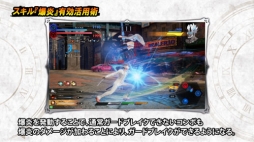 ꡼ No.007Υͥ / ֥  饰ʥץץ쥤˱ƥƥब館륭ڡ