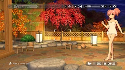 ꡼ No.058 | TV˥ ɥޥ ǥ饬륺 G4U!ѥå VOL.9פξᥤ󥢥ɥϾŤǡơޤϡֲǹռ