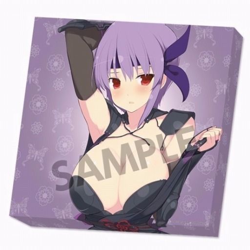 ���������꡼ No.004�Υ���ͥ������ / ��DOA5 LR�����𥫥���ץ���ܥС������֤���͡פΥޥ����ѥåɤ����������С����о�