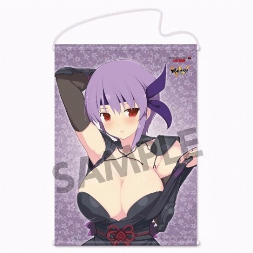 ���������꡼ No.005�Υ���ͥ������ / ��DOA5 LR�����𥫥���ץ���ܥС������֤���͡פΥޥ����ѥåɤ����������С����о�