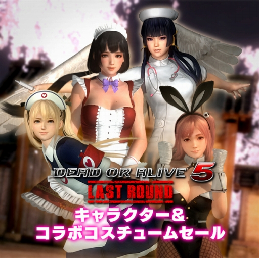 ꡼ No.001 | DEAD OR ALIVE 5 Last Roundץܥ塼ॻ뤬