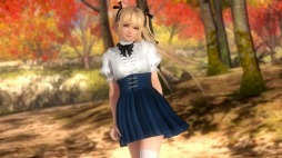 ꡼ No.012 | DEAD OR ALIVE 5 Last Roundסͤε塼ۿ