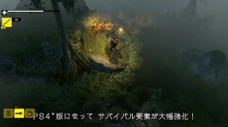 ꡼ No.002 | How to Surviveӥ ȡ˥󥰥ǥפۿȡǤҲ𤹤PV