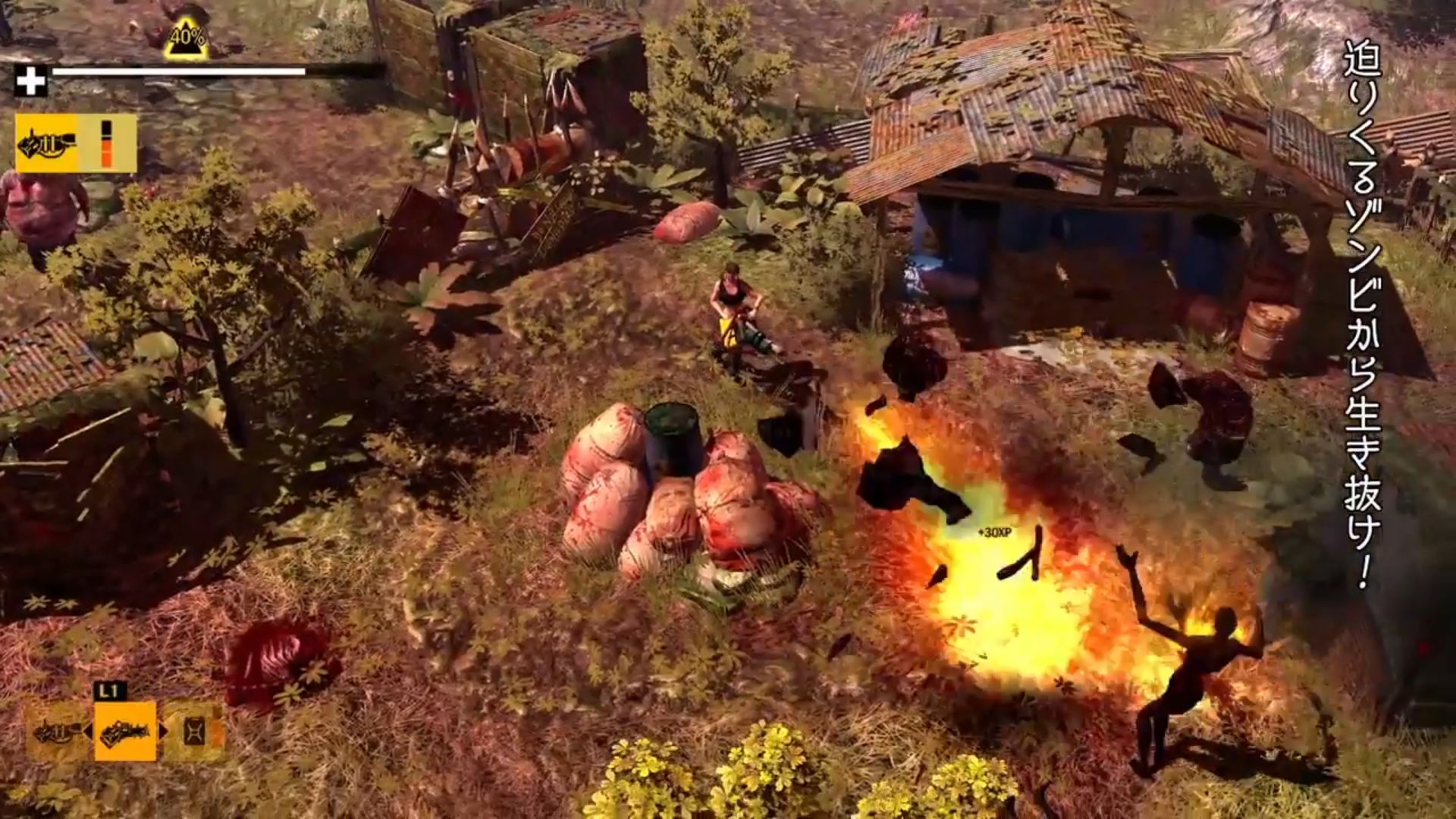 How to Surviveӥ ȡ˥󥰥ǥPV