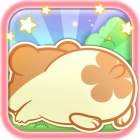 �ѥå�����