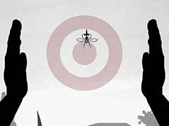 ���ҥޤ��٤��륷��ץ�ʥ��åץ��������ֲ��ե������С��פ�Ҳ𤹤�֡ʤۤܡ��������ޥۥ������̿�����895��