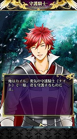 ���������꡼ No.007�Υ���ͥ������ / ����RPG�ּ��� ��Palladium Knights���ס�iOS�Ǥλ�����Ͽ����������