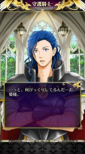 ���������꡼ No.020�Υ���ͥ������ / ����RPG�ּ��� ��Palladium Knights���ס�iOS�Ǥλ�����Ͽ����������