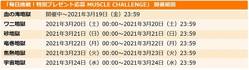 ꡼ No.007 | ֥ޥ ޥå륷åȡפۿ6ǯ6ˤʤڡ»