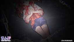 ꡼ No.010Υͥ / SA7ץᥤ󥭥Υץܥ1ơǤ̳ver.ɤȤǸ