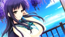 ���������꡼ No.043�Υ���ͥ������ / PS Vita������ADV��LOVELY��CATION 1��2�פ�2015ǯ5��21����ȯ�䡣¿���ο����٥�ȡ�CG���ɲä��졤�ҥ�����ȼ̿��������AR�����⡼�ɤ�