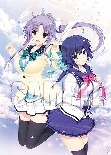 ꡼ No.007 | 5pb.פ2015סŸʡꥭڡξ󤬸