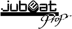 ���������꡼ No.001�Υ���ͥ������ / �ꥺ�ॲ�����jubeat prop��������Ư���ϡ��ץ쥤�䡼�μ��Ϥ򼨤��֥��ƥå׵�ǽ�פ�Ĺ���������פΡ֥ۡ���ɥޡ������פ����о�