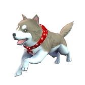 ꡼ No.005 | HITסİǤ֥Хǥ׵ǽΥե饤ȡʥȤ618ŷ