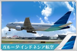 画像ギャラリー No.003のサムネイル画像 / 「ぼくは航空管制官 エアポートヒーロー3D 羽田 ALL STARS」の収録機体情報。ANAグループやソラシドエアなど4社分が公開に