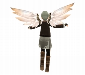 ���������꡼ No.005�Υ���ͥ������ / �֥ȡ���४��饤���ͽ��ȥå�10�ǻ�����Ͽ����ȸ��ꥢ�Х�������館��