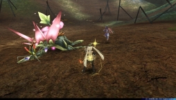 画像ギャラリー No.015のサムネイル画像 / 「トーラムオンライン」双剣スキル「デュアルソード」にレベル3が追加