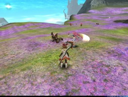 ���������꡼ No.017�Υ���ͥ������ / �֥ȡ���४��饤��׿��ޥåס֥��������ѻ�/���פȡ�ήϲ��ʿ���פ����