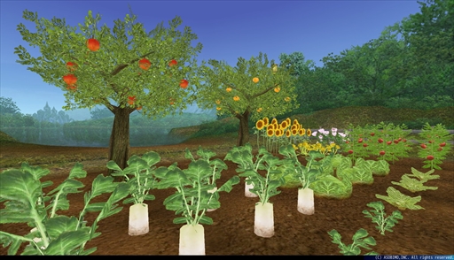 ���������꡼ No.001�Υ���ͥ������ / �֥ȡ���४��饤��ס�����ǽ�ֺ��ݡ������פ����������ָ���ܥ��ֻ���Ȥ��������ޡפ�