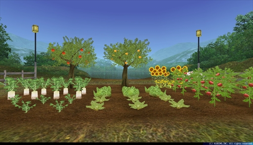 ���������꡼ No.006�Υ���ͥ������ / �֥ȡ���४��饤��ס�����ǽ�ֺ��ݡ������פ����������ָ���ܥ��ֻ���Ȥ��������ޡפ�