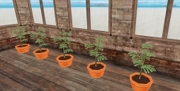 画像ギャラリー No.015のサムネイル画像 / 「トーラムオンライン」メインストーリー第9章を含むアップデートを実施