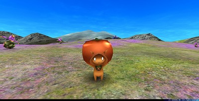 ���������꡼ No.010�Υ���ͥ������ / �֥ȡ���४��饤��ס�����̣�Х��٥�Ȥ�������������